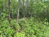 TBD Valley Creek Rd - Photo 4
