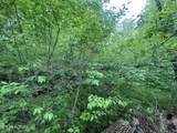 TBD Valley Creek Rd - Photo 9
