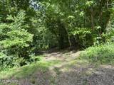 316 Wiley Town Rd - Photo 8