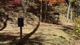 1081 Cove Rd - Photo 26