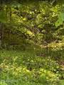 0 Spring Creek Rd - Photo 1
