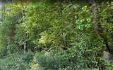 0 Spring Creek Rd - Photo 11