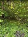 0 Spring Creek Rd - Photo 3