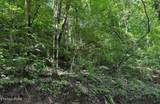 0 Spring Creek Rd - Photo 5