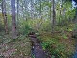 2036 Helenwood Detour Rd - Photo 11