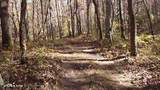 2036 Helenwood Detour Rd - Photo 8