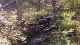 2036 Helenwood Detour Rd - Photo 9