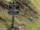 807 Old New Ground Rd - Photo 9