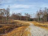  Bull Creek Rd S/0 - Photo 2
