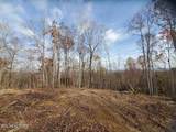  Bull Creek Rd S/0 - Photo 4