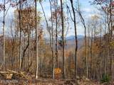  Bull Creek Rd S/0 - Photo 8