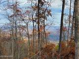  Bull Creek Rd S/0 - Photo 10