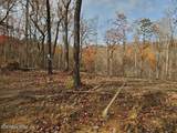  Bull Creek Rd S/0 - Photo 3