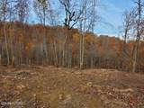  Bull Creek Rd S/0 - Photo 6