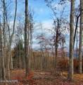  Bull Creek Rd S/0 - Photo 7