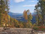  Bull Creek Rd S/0 - Photo 1