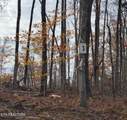  Bull Creek Rd S/0 - Photo 10