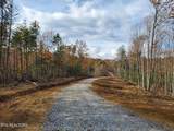  Bull Creek Rd S/0 - Photo 11