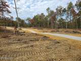  Bull Creek Rd S/0 - Photo 4