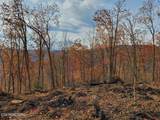  Bull Creek Rd S/0 - Photo 7