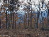  Bull Creek Rd S/0 - Photo 8
