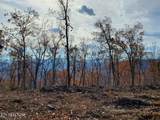  Bull Creek Rd S/0 - Photo 9