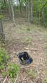 Lot 8 & 10 Keating Loop - Photo 7