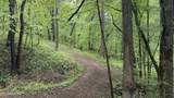 427 & 439 Thorngrove Pike - Photo 41