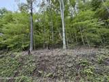 lots A&B Alder Springs Rd - Photo 3