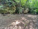 0 Melvin Hollow Rd - Photo 12