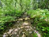 0 Melvin Hollow Rd - Photo 16
