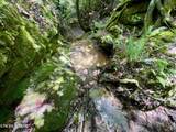 0 Melvin Hollow Rd - Photo 17