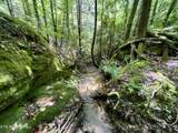 0 Melvin Hollow Rd - Photo 18