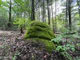 0 Melvin Hollow Rd - Photo 19