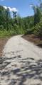  Lake Lane - Photo 4