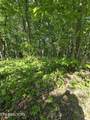 lot 88 Grandview Way - Photo 6
