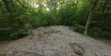 148 Beech Grove Loop - Photo 8