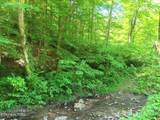 9025 Conner Rd - Photo 4