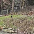 3846 Knight Hollow Rd - Photo 21