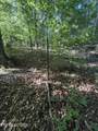  White Wing Rd - Photo 15