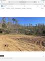1.70 Acres Robbies Lane - Photo 2