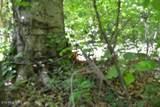 7.50AC Beauchamp Rd - Photo 21