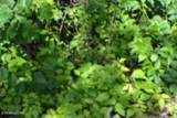 7.50AC Beauchamp Rd - Photo 22