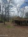 231 Crockett Lake Drive - Photo 13