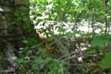 31.22 Beauchamp Rd - Photo 11