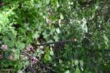 31.22 Beauchamp Rd - Photo 4