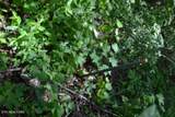 31.22 Beauchamp Rd - Photo 6