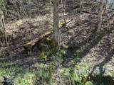 760 Black Branch Rd - Photo 10
