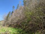 760 Black Branch Rd - Photo 12