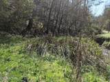 760 Black Branch Rd - Photo 5